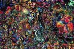 Fractal Mushroom Flowers 07