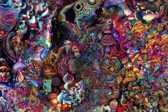 Fractal Mushroom Flowers 10