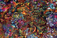 Fractal Mushroom Flowers 13